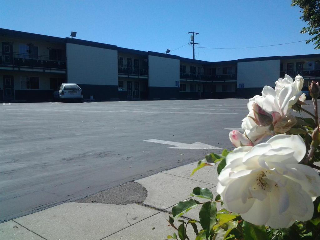 Holiday Motel - Santa Maria Santa Maria (Santa Barbara County) Exterior foto
